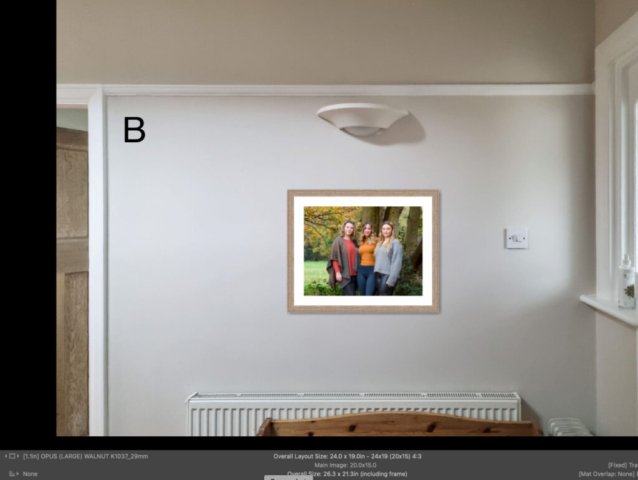 I have software that helps decide the best size of picture to buy.